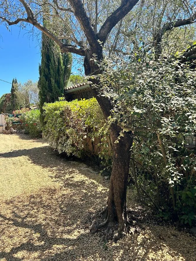 Villa De Charme En Campagne Avec Piscine Privee Et Nature Luxuriante Le Beausset