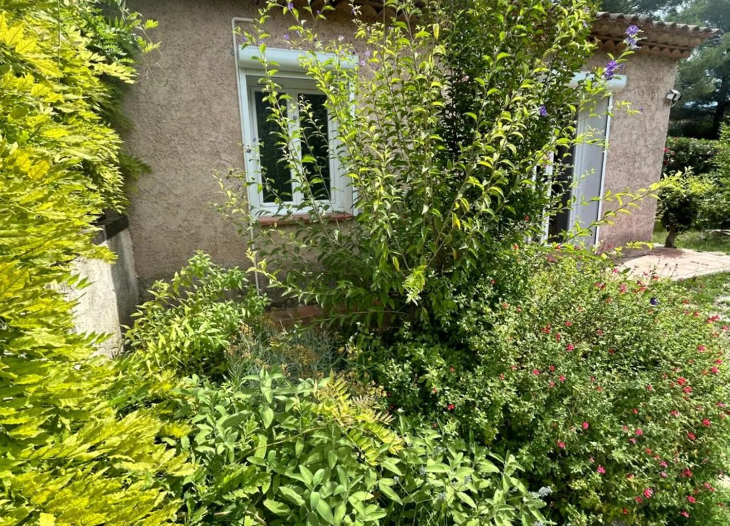 Villa De Charme En Campagne Avec Piscine Privee Et Nature Luxuriante Le Beausset